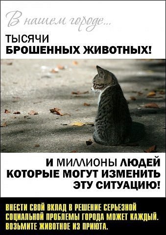 Надежда Пан | Москва