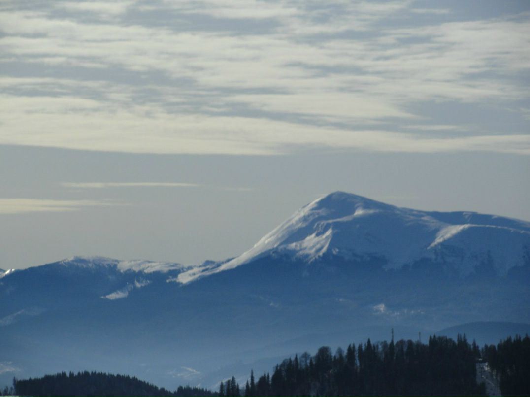 Таня Кучмей | Киев