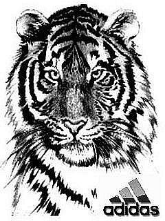 Ильнур Исмагилов ™•-_√ιק_-•™ | Сарманово