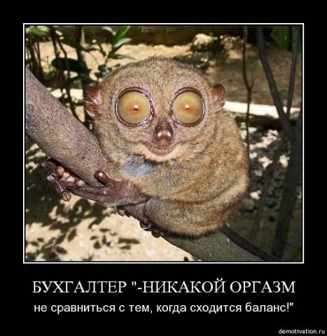 Оля Коваленок ღ Ольганеттаღ | Минск