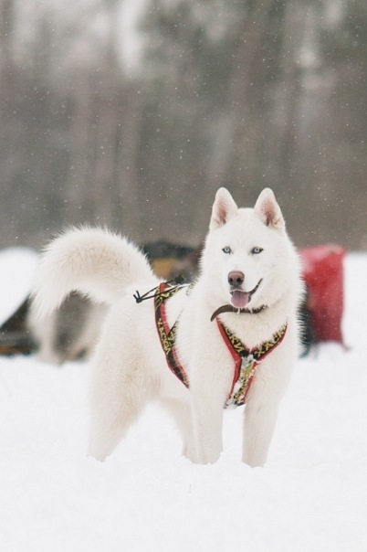 №151, Татьяна Крученюк, 34 года №151, Татьяна Крученюк, 34 года