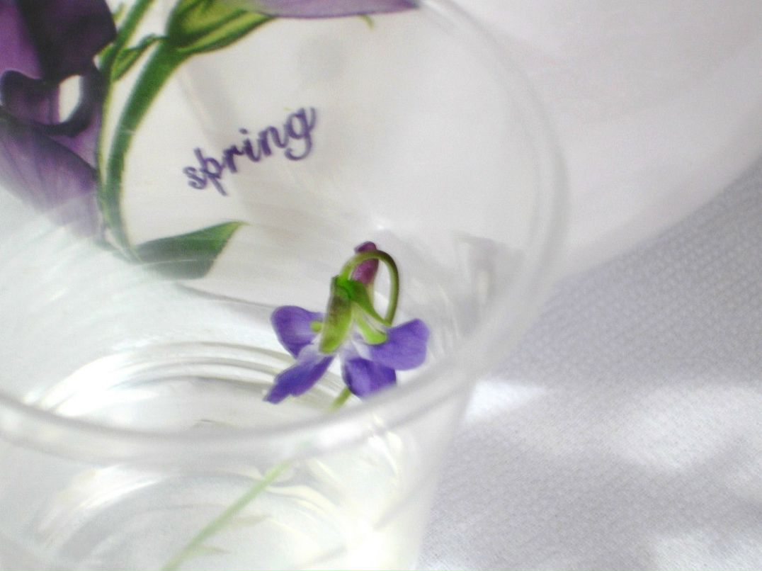 Юлия Брагарь | Одесса