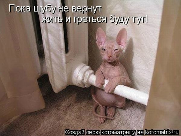 Игорь Гоменюк | Брянск