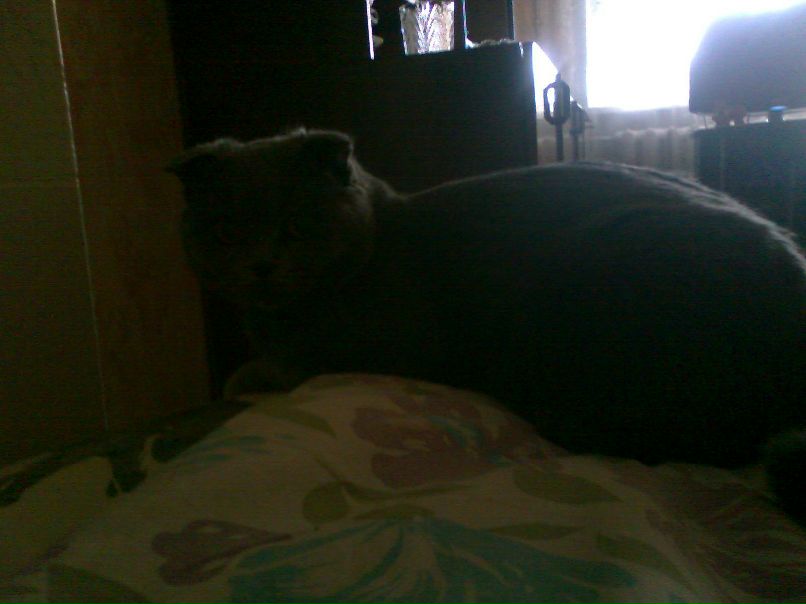 Дмитро Гапонов | 