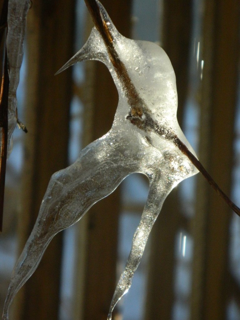 Диана Каспари | Новосибирск