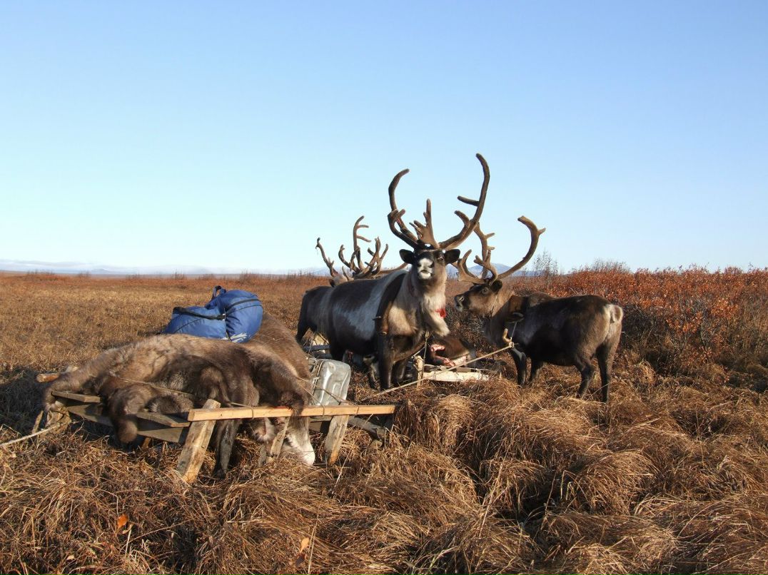 Анна Бойкова | Москва