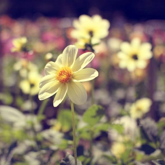 Анна Набокова | Ханты-Мансийск