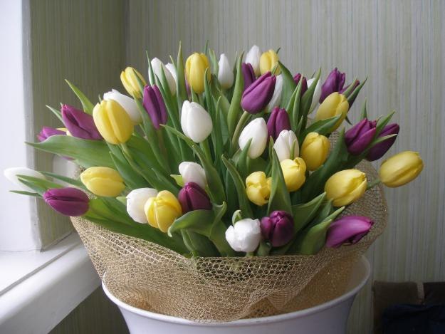 Яна Гаркалнс Welma | Воронеж