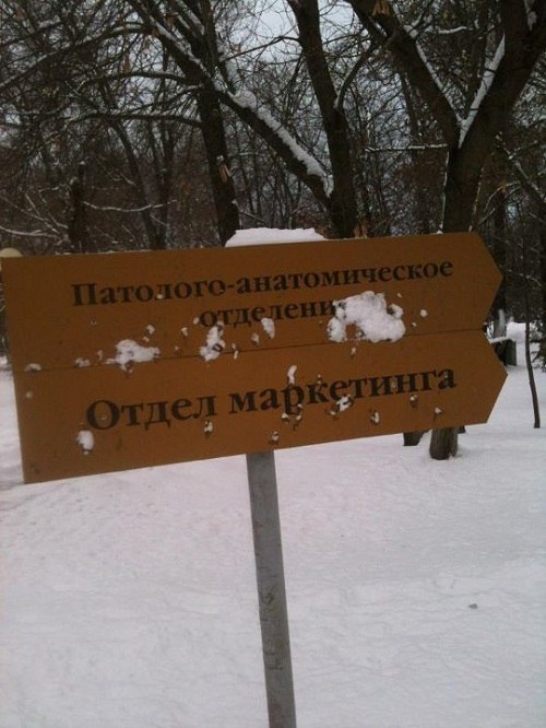 Ася Коновалова | 