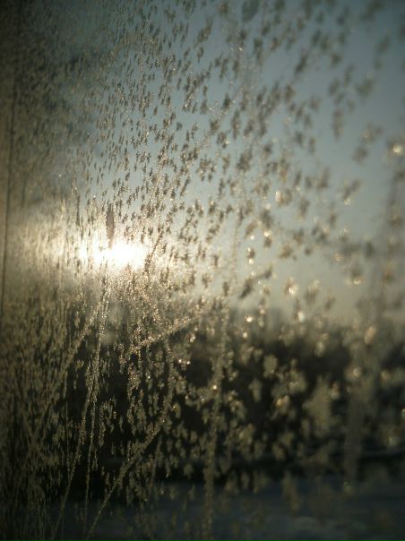 №19, Марина Нестеренко №19, Марина Нестеренко