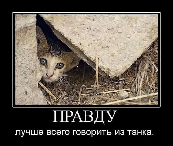 №24, Иван Вениаминович, Снегиревка №24, Иван Вениаминович, Снегиревка