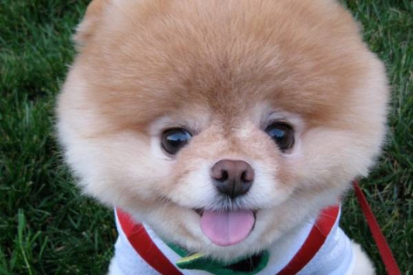 №140, Евгений Зуев, Санкт-Петербург №140, Евгений Зуев, Санкт-Петербург