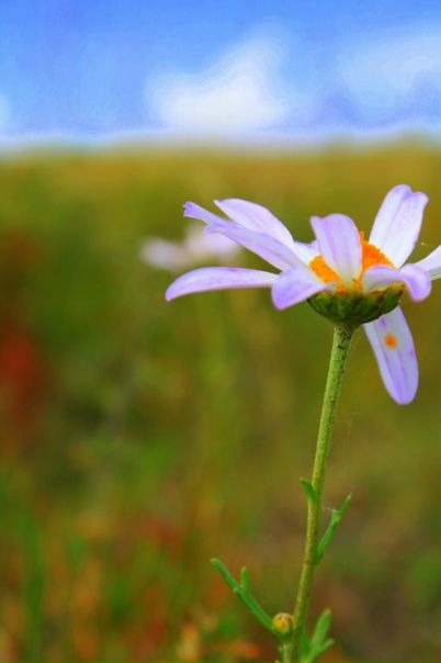 №21, Саяна Жалсапова, Улан-Удэ №21, Саяна Жалсапова, Улан-Удэ