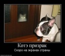 Фотография Поковбы Уляны
