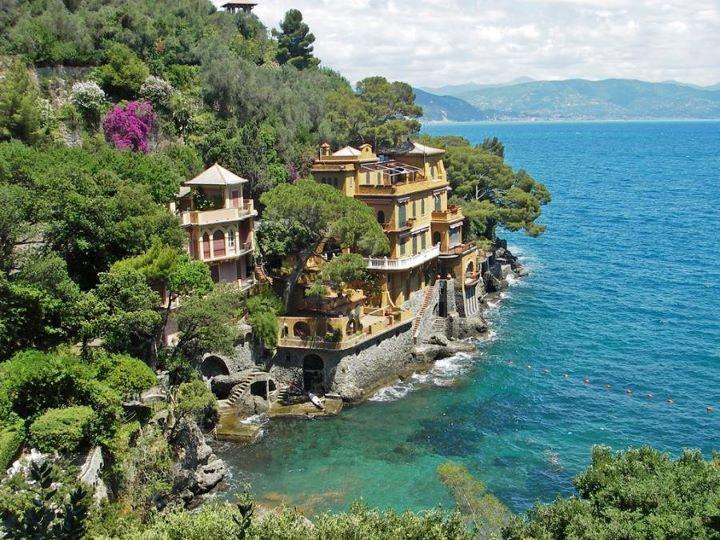 Алексей Никитин | Санкт-Петербург