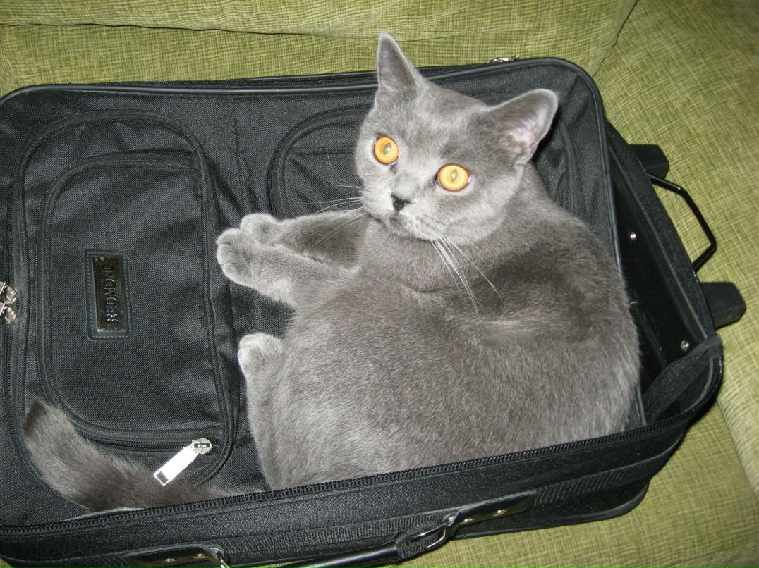 Екатерина Сциборовская | Москва