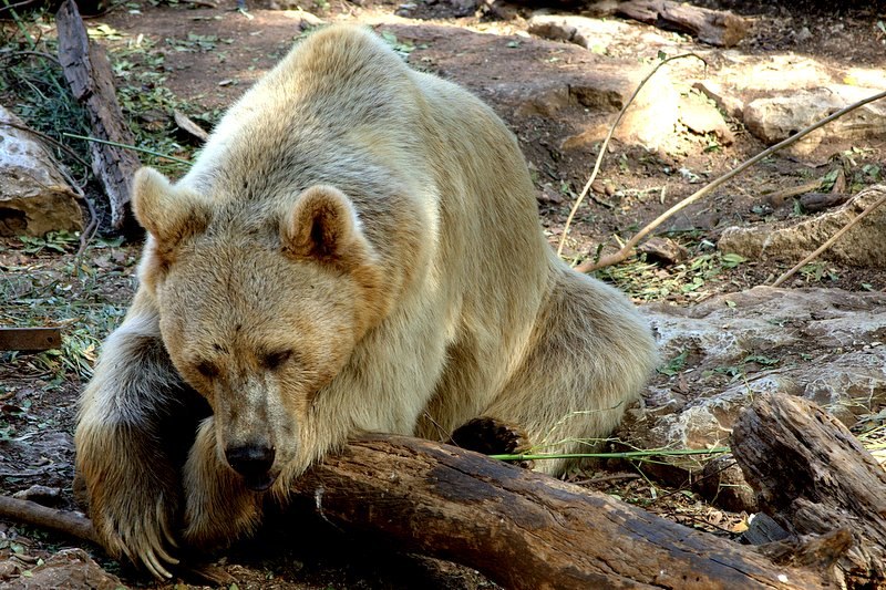 Миша Шивчик | Одесса