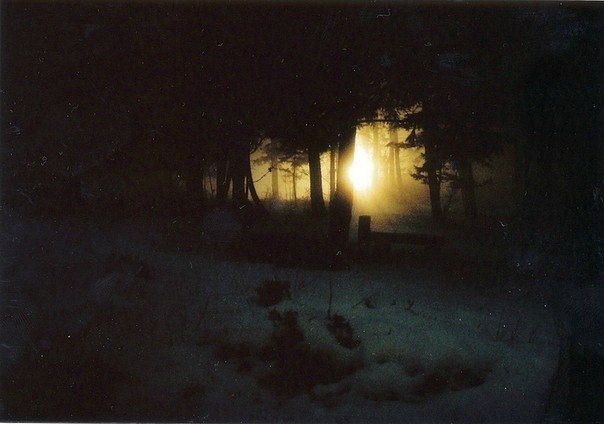 Саша Франчук † | 