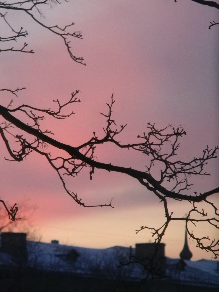 Даша Глазунова | 