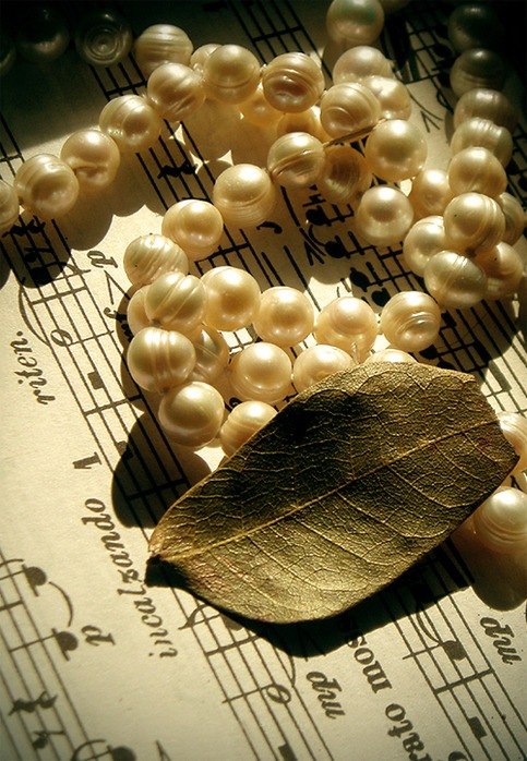 Александра Алемус | Рига