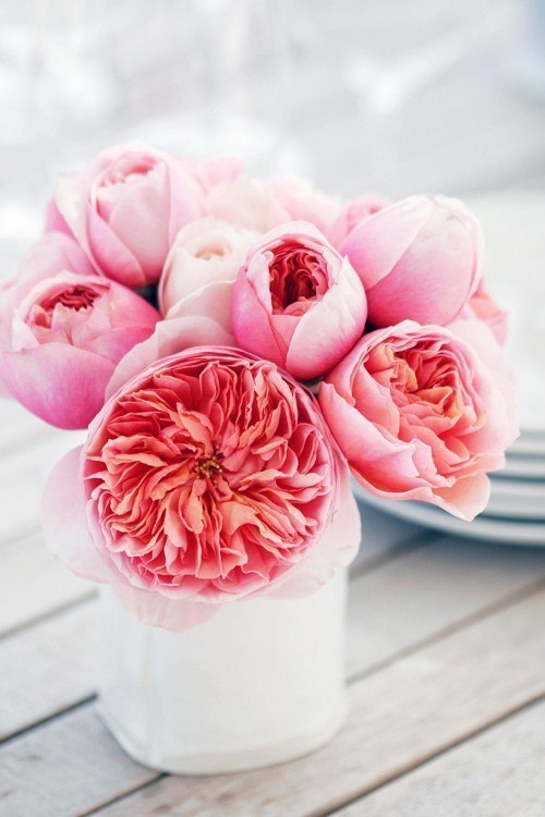 Ирина Мухутдинова | Уфа