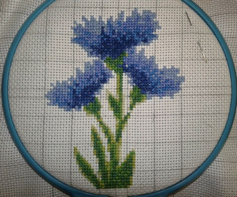 Юлия Бабина | Саранск