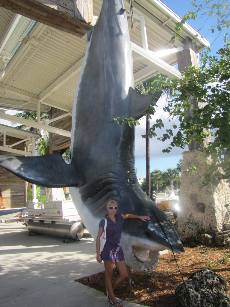 Екатерина Гребенюк | Донецк