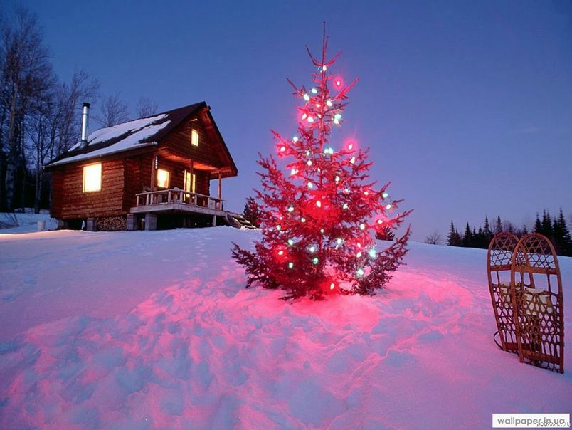 №56, Анна Лосева, 36 лет, Днепр (Днепропетровск) №56, Анна Лосева, 36 лет, Днепр (Днепропетровск)