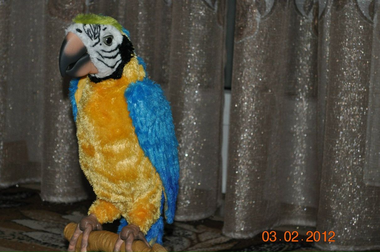 Оля Исаева | 