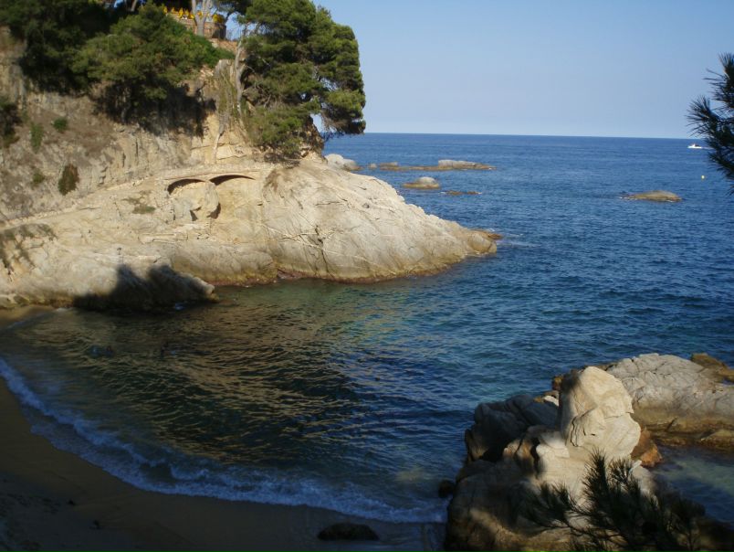 №72, Анна Береза, Palamós №72, Анна Береза, Palamós