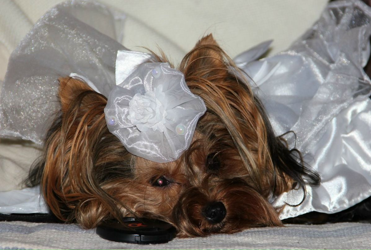 Настя Лактионова ˜”*°•.♥.•°*”˜ | Санкт-Петербург