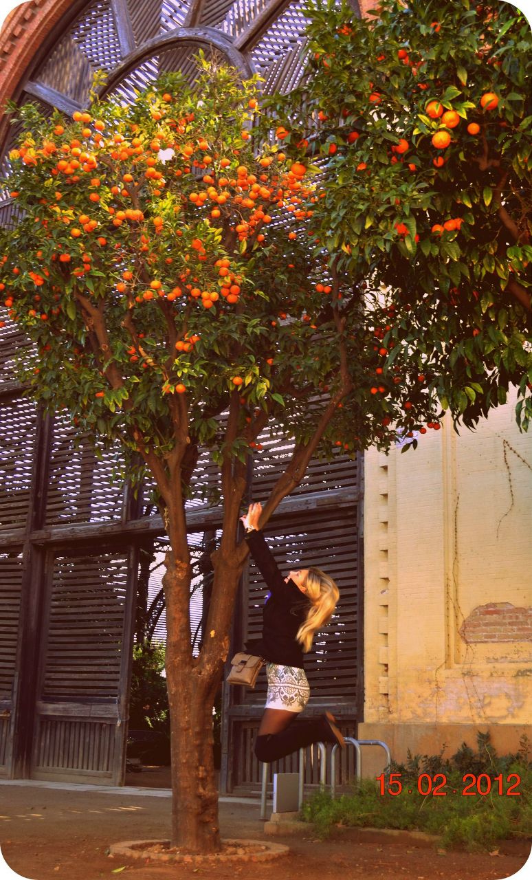 Людмила Подгурская | Калининград