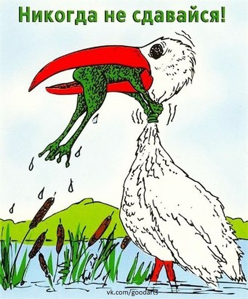 Катерина Сахарчук | Луцк