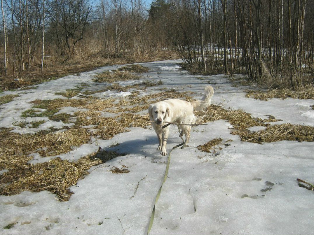Елена Острова | Санкт-Петербург