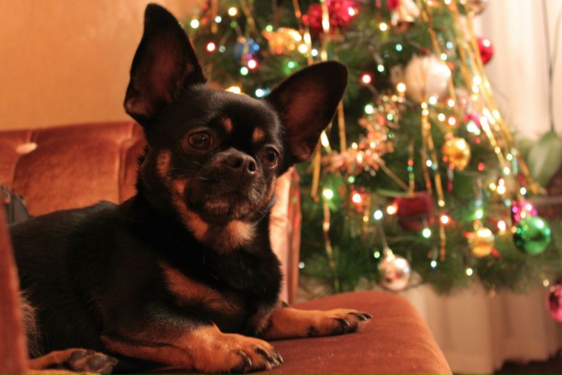 Александр Никитич | Омск