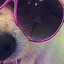 №33, Надежда Сапожникова, Санкт-Петербург, Россия №33, Надежда Сапожникова, Санкт-Петербург, Россия