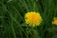 №5 Вика Мишина 05.04: профиль, фото, статус - ВКонтакте