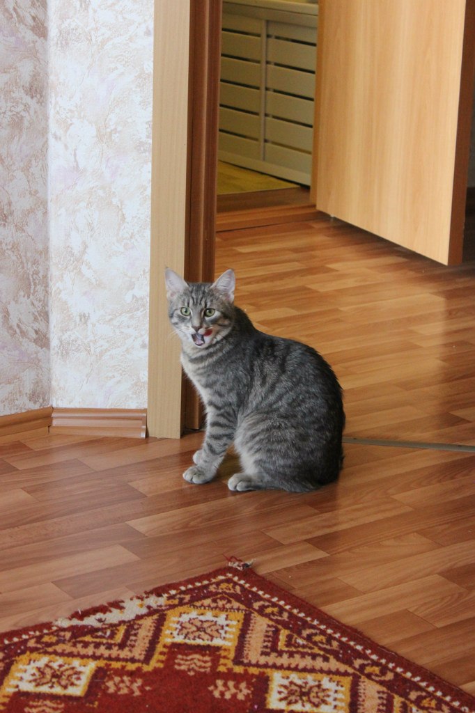 Сергей Охота | Санкт-Петербург