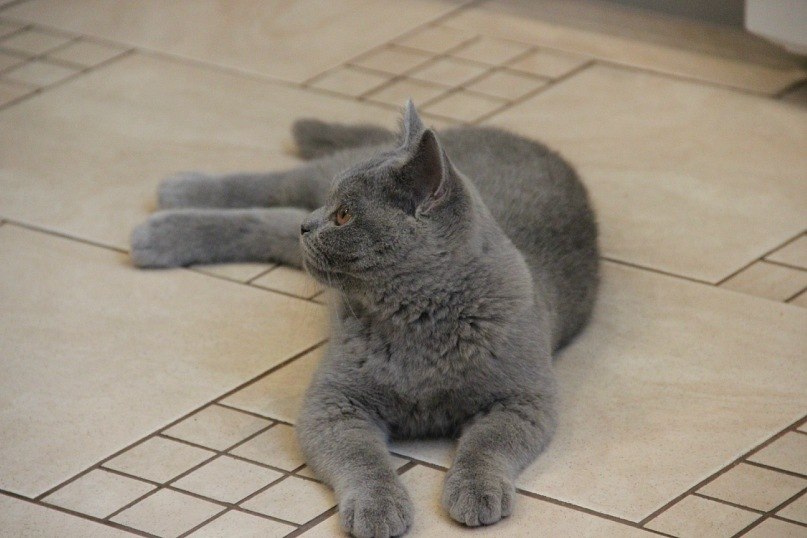 Олюшка Жукова | Санкт-Петербург