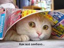 Фотография Рубанова Сани