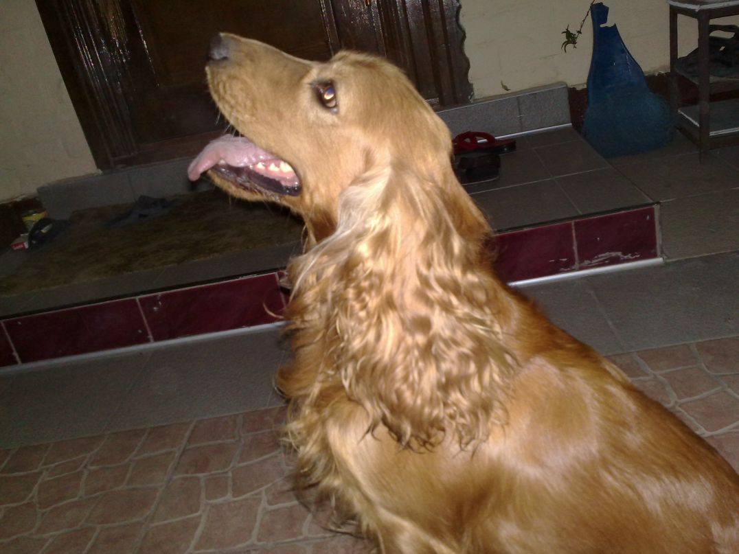 Серёжа Сухенко | Одесса