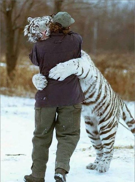 Екатерина Никифорова | Санкт-Петербург