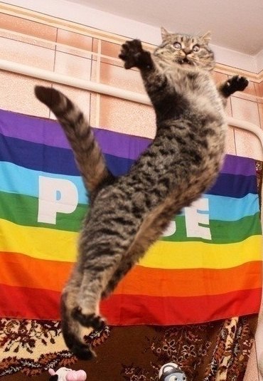 Настя Гальцева | Днепр (Днепропетровск)