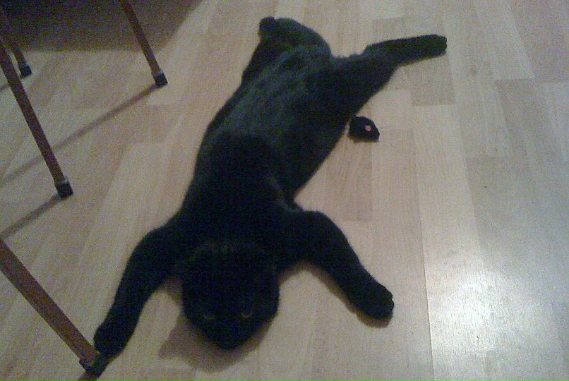 Elizabeth Plis | Ставрополь