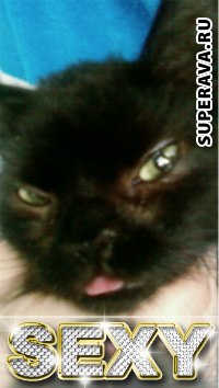 Екатерина Мороз | Санкт-Петербург