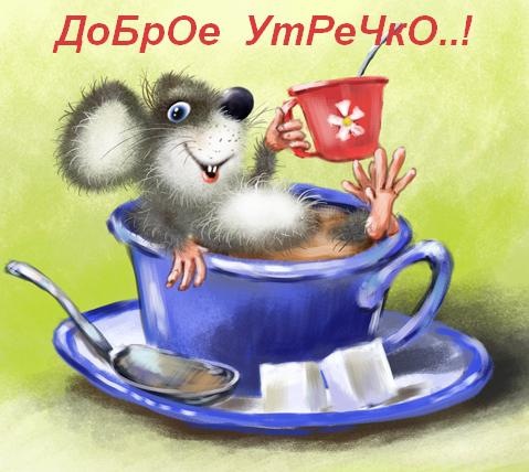 №47, Белый Мяяяуууу, Москва №47, Белый Мяяяуууу, Москва