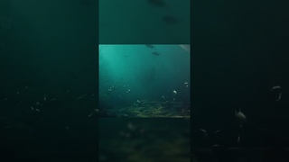 Торпеда Посейдон - неуязвимое оружие #shorts