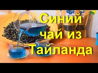 Синий чай из Тайланда: состав, как заваривать, польза