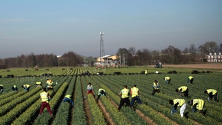 How American Farmers Harvest Thousands Of Tons Of Agricultural Products In 2022 - American Farming