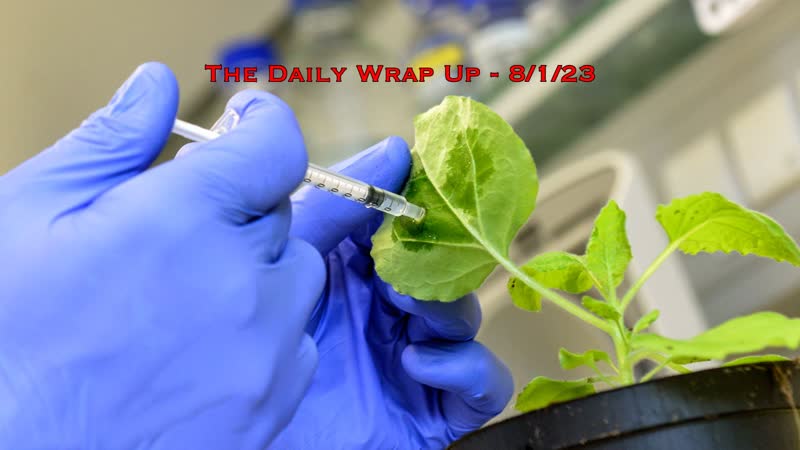 US, French Puppet Falls In Niger Coup, Collapsing Athletes, Food, Plant m RNA Vaccines